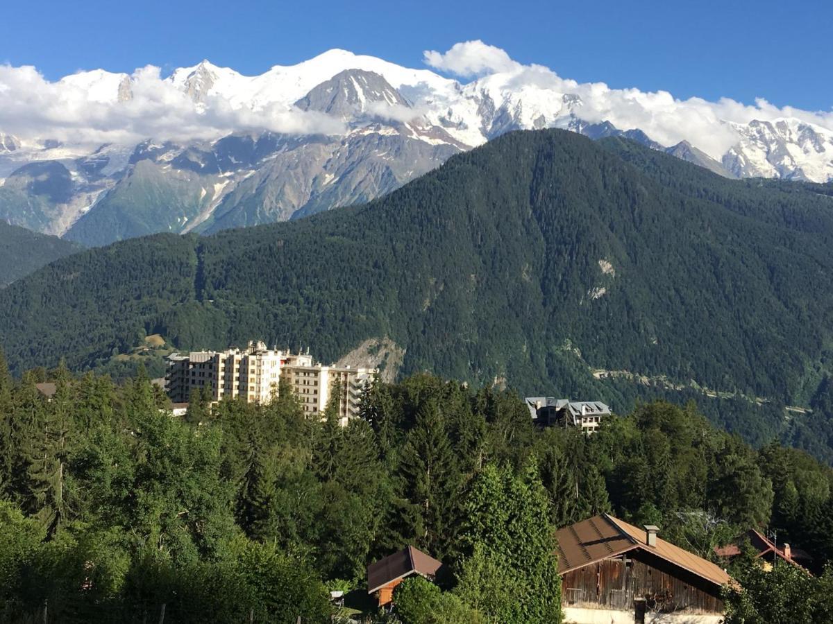 Fizhome Mt Blanc Passy  Exterior photo