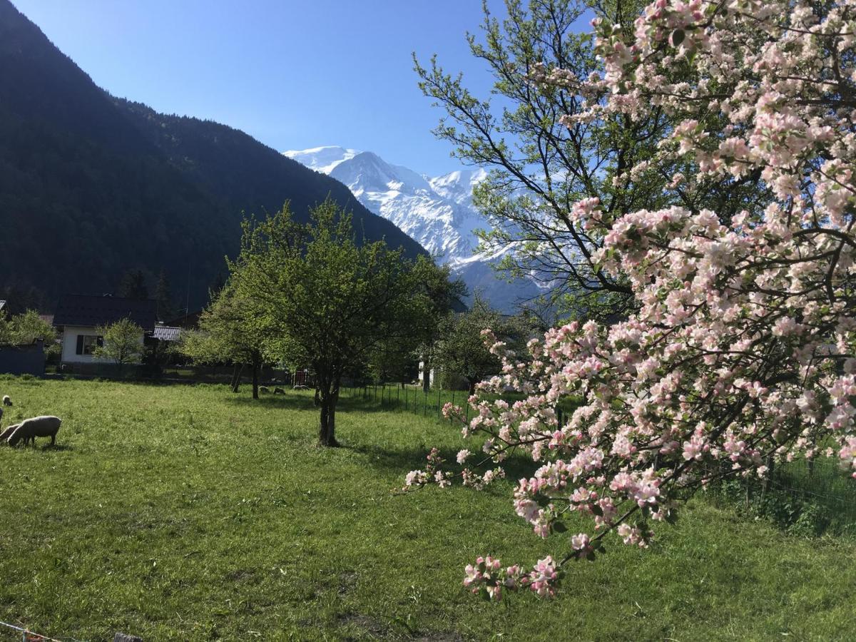 Fizhome Mt Blanc Passy  Exterior photo